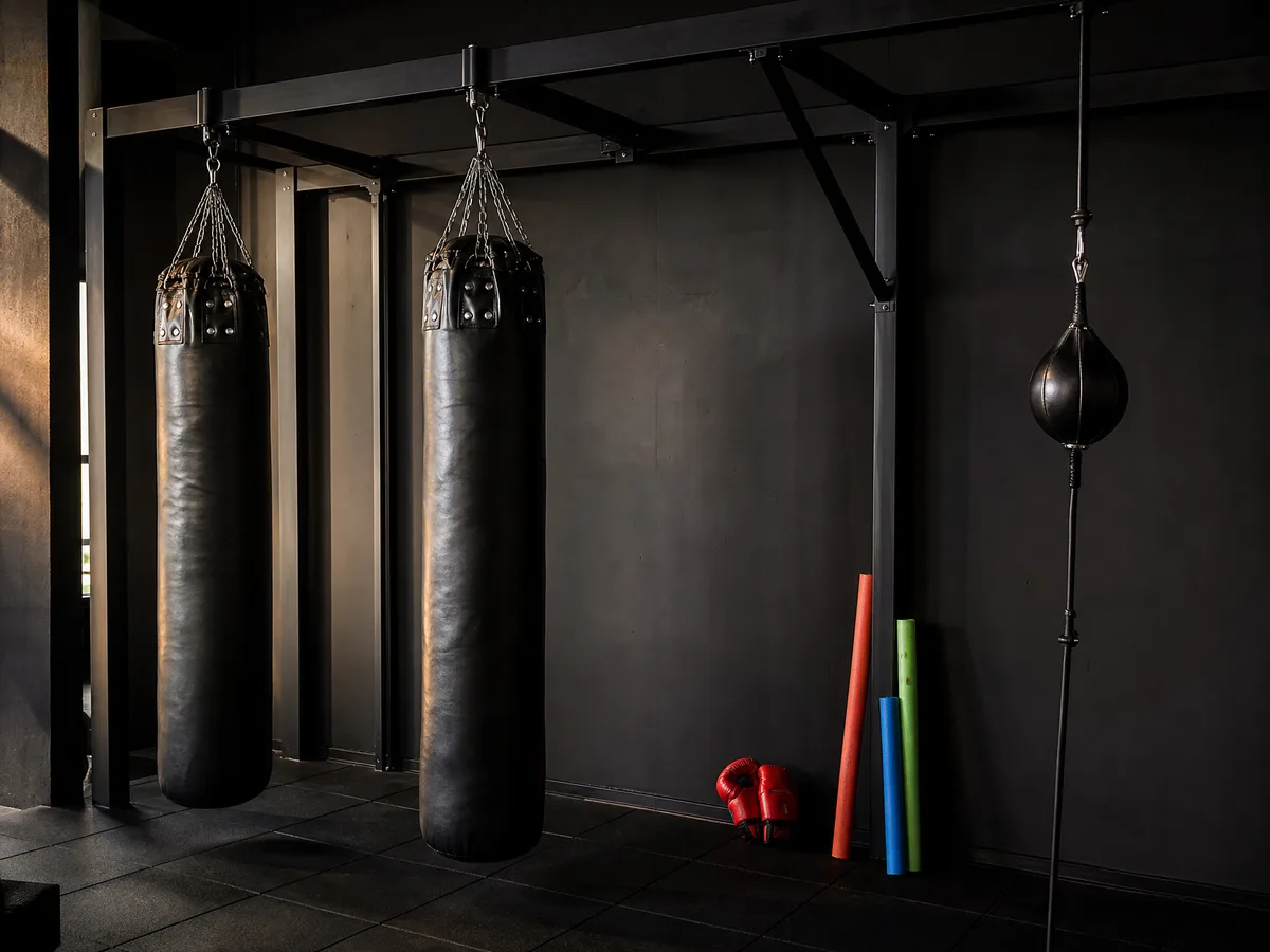 Zona de boxeo de Gimnasio Demo
